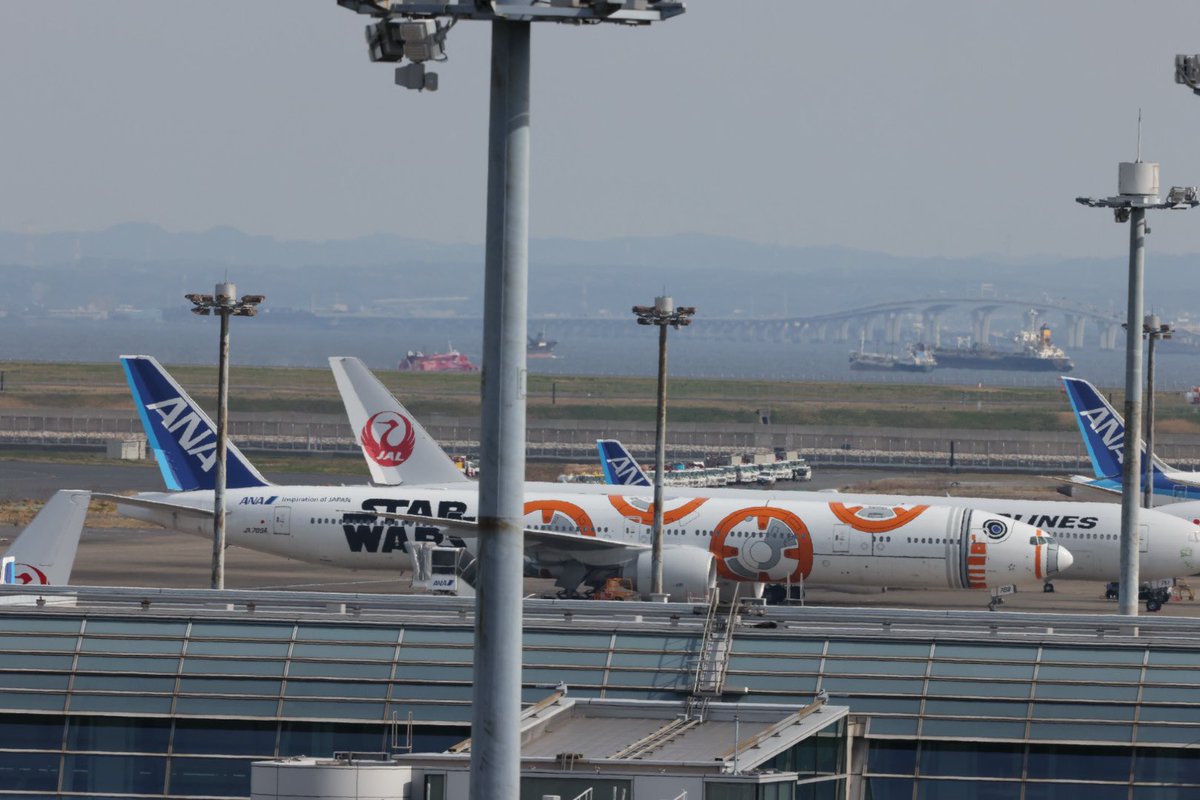 SchwaltzWalt's tweet photo. BB-8、BB-8のままで、きょうも羽田に居るヨ…。✈️👍✨ #allnipponairways #全日空 #bb8jet #anastarwarsjet https://t.co/sscw1jeLKd