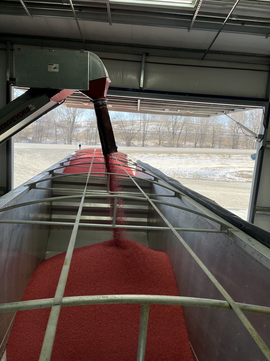 Tis the season ⁦<a href="/ChannelSeed/">Channel Seed</a>⁩ #2721RXF #Plant22