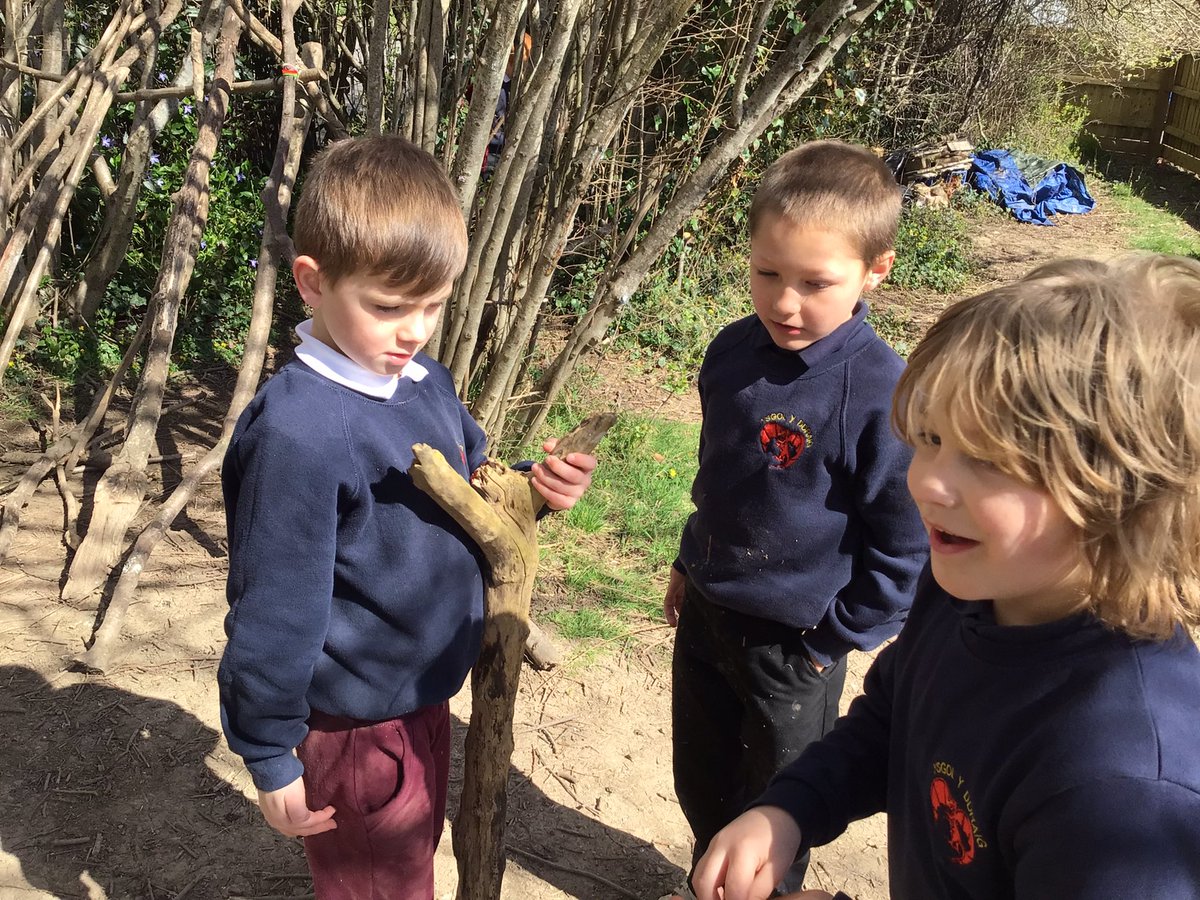 ysgolyddraig's tweet photo. #YYDcoch #forestschools planting in our raised beds, cleaning our #muddykitchen and having fun in the sun. @walkinthewild1 https://t.co/m5xIVzBEV4