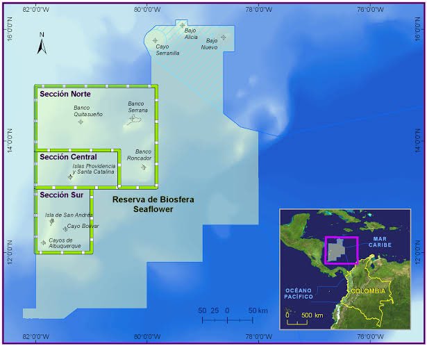 ePioneers 🌱🌎 tweet media