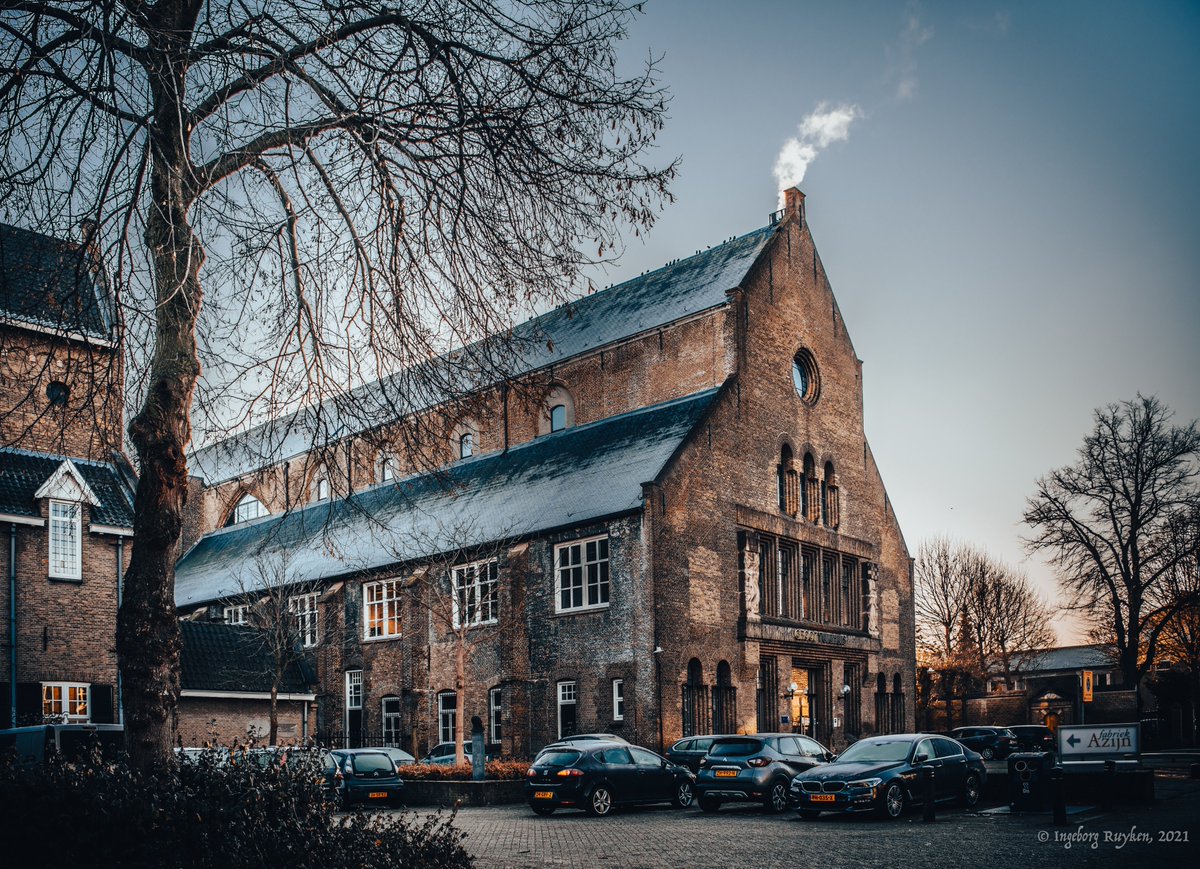 Ingeborg Ruyken tweet media