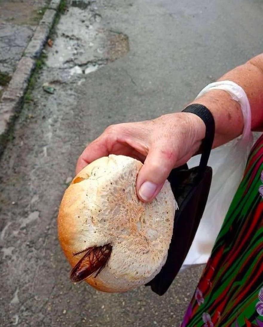 MarioJPenton's tweet photo. Sí, no solo hay leche de cucaracha… también hay pan de cucaracha en #Cuba. Vamos con todo @DiazCanelB… Increíble! https://t.co/tenAuAW2O4