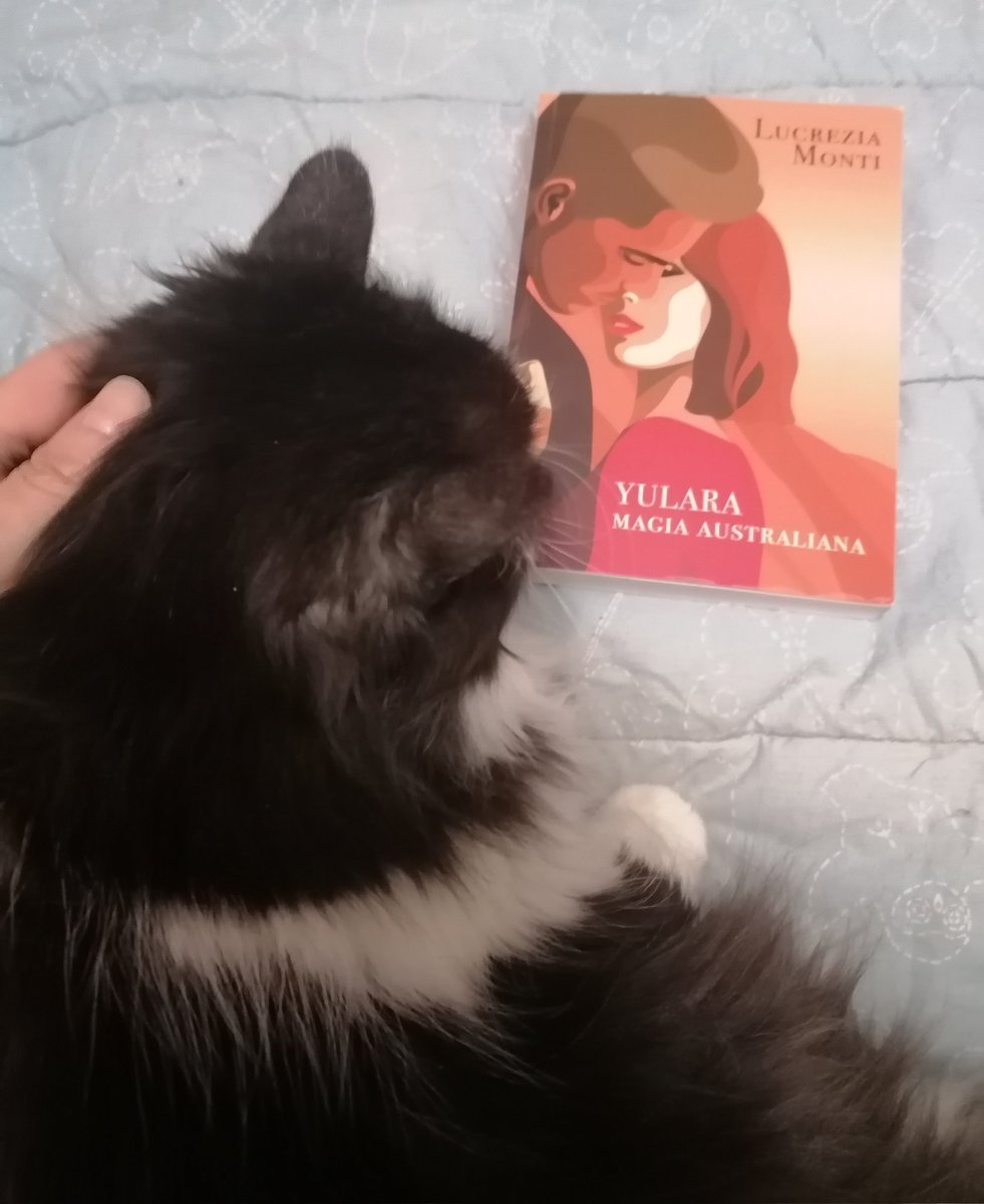 songase975's tweet photo. @justLucreziaM Lo aspettavamo, non lo nego, questo #LibriEGatti. Perché leggere è bello, in compagnia è meglio.
#venerdìgattini #PelosiLettori https://t.co/VTQWwEqsoc