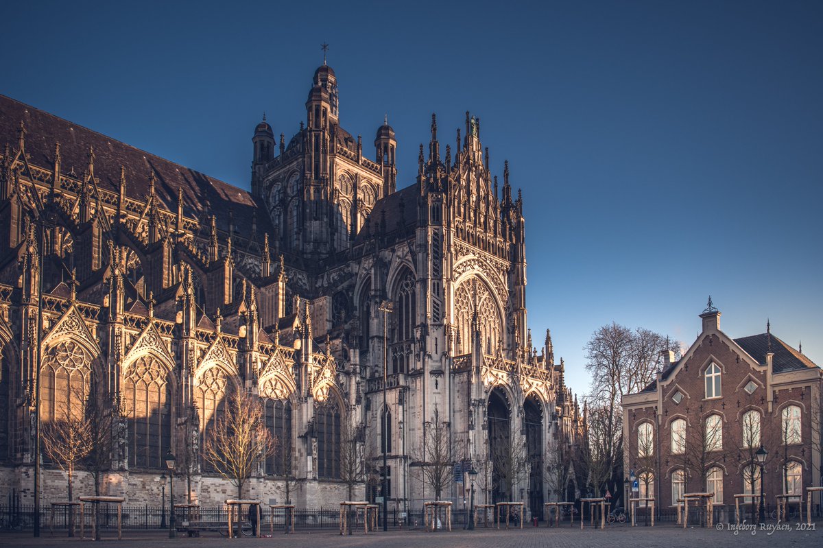 Ingeborg Ruyken tweet media