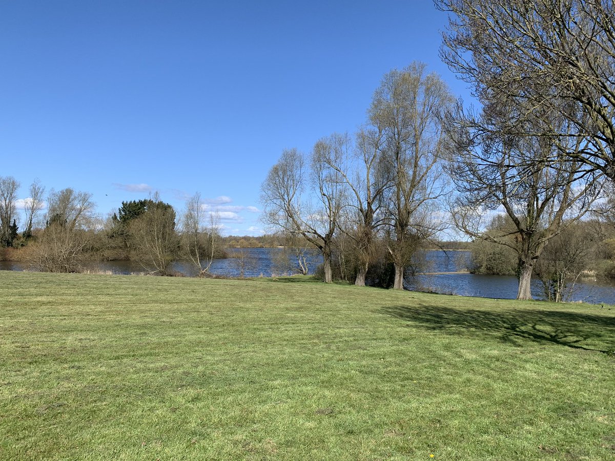 Lismore additional needs tweet media