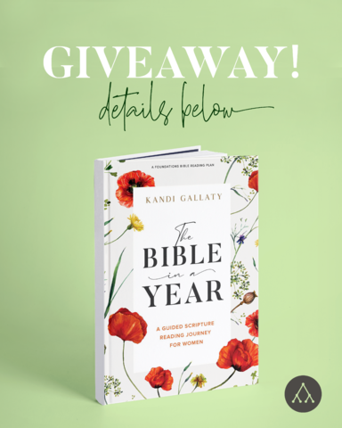For this month's giveaway, we are celebrating the launch of "The Bible in a Year" by Kandi Gallaty by giving away a copy! Head over to our Instagram to learn how to enter! instagram.com/replicateminis…