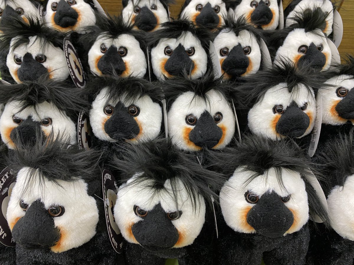 きれいずきん生活 ぬいぐるみ モップ 平成レトロ きれいずきん生活