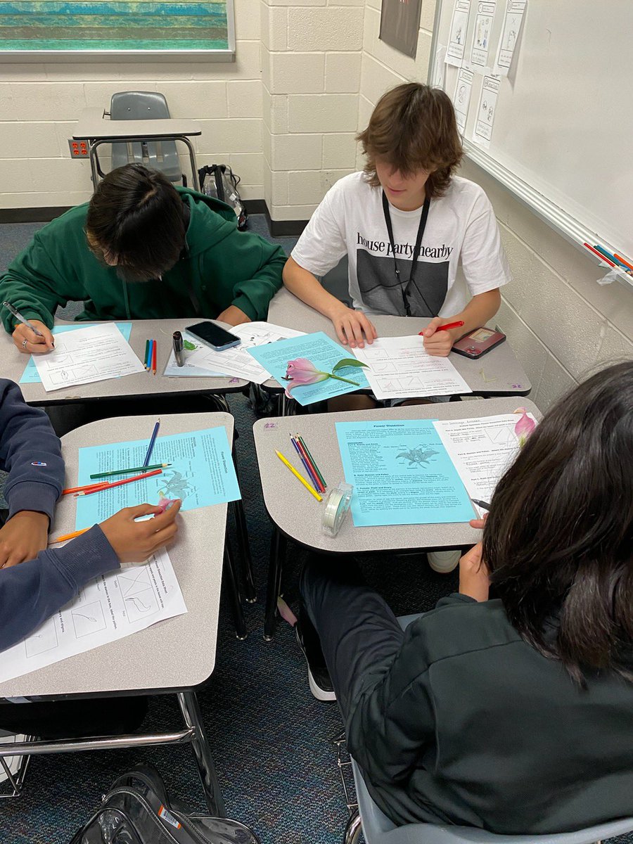 jvhsbio's tweet photo. Bio students dissecting flowers as part of the plant unit! We use the ‘perfect’ alstroemeria so they can see all the reproductive parts https://t.co/Mf1v8aZiWA