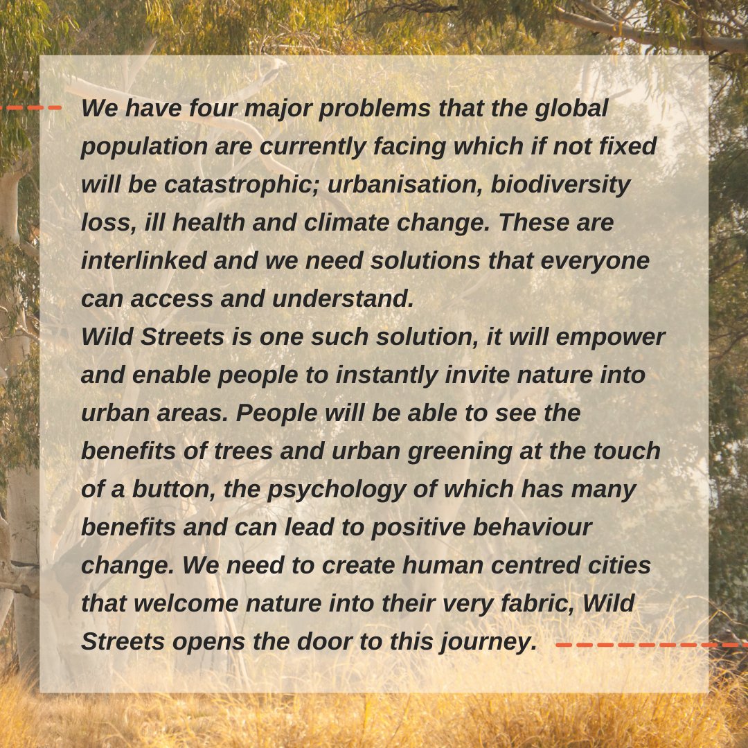 Wild Streets tweet media