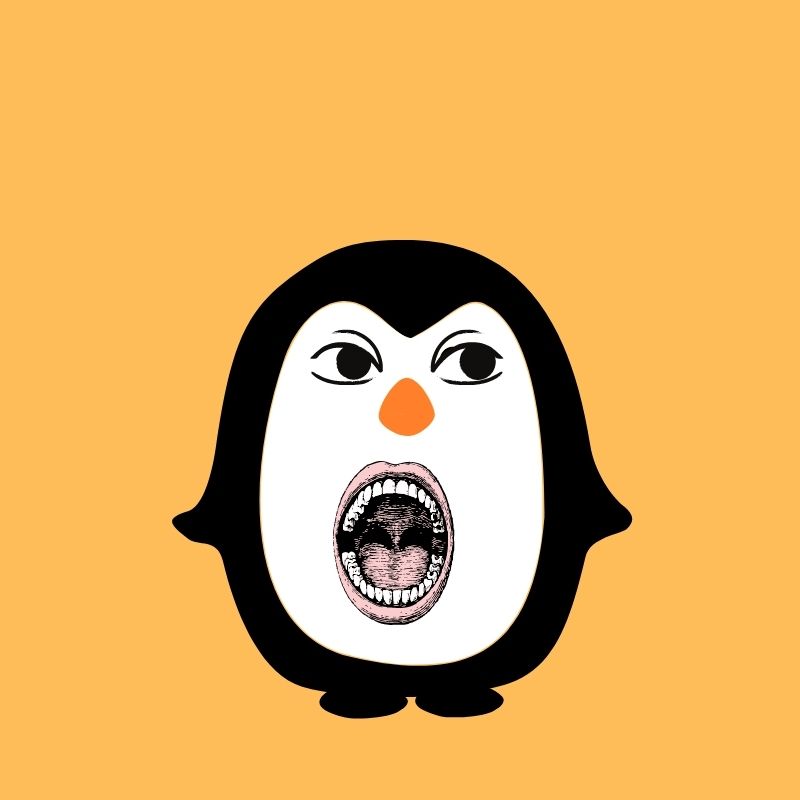 Muhammad3927516's tweet photo. Penguin
https://t.co/B9DsBaOFC0
#nftart
#NFTGiveaway
#NFTCommunity
#NFTdrop
#nftdesign
#nftcreat
#NFTProject
#opensea
#nftart https://t.co/Ra2Mu97dmZ