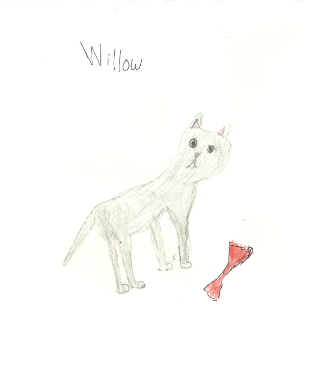 After over a decade, many Americans are excited to see a cat in the White House again 🐱

This week's student artist, Frannie from Wisconsin, shared her drawing of Willow with <a href="/POTUS/">President Donald J. Trump</a>.