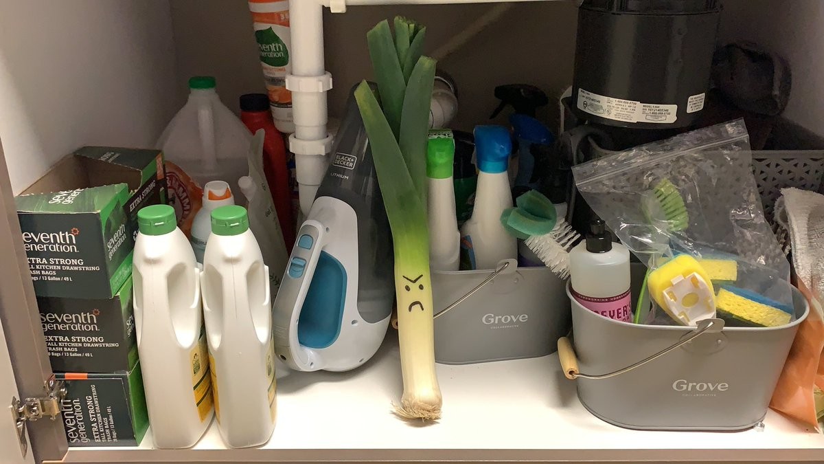 Need a last minute #AprilFools joke? Tell your family members or roommates there's a leek under the sink! 😆