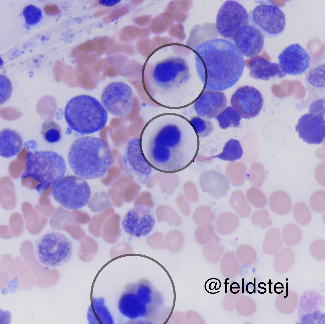 feldstej's tweet image. #fridaythoughts #fridayviews #fridayvibes #TBHeme #throwback #TBHeme #april1st #fridaymotivation #happynewmonth #fridayfeeling