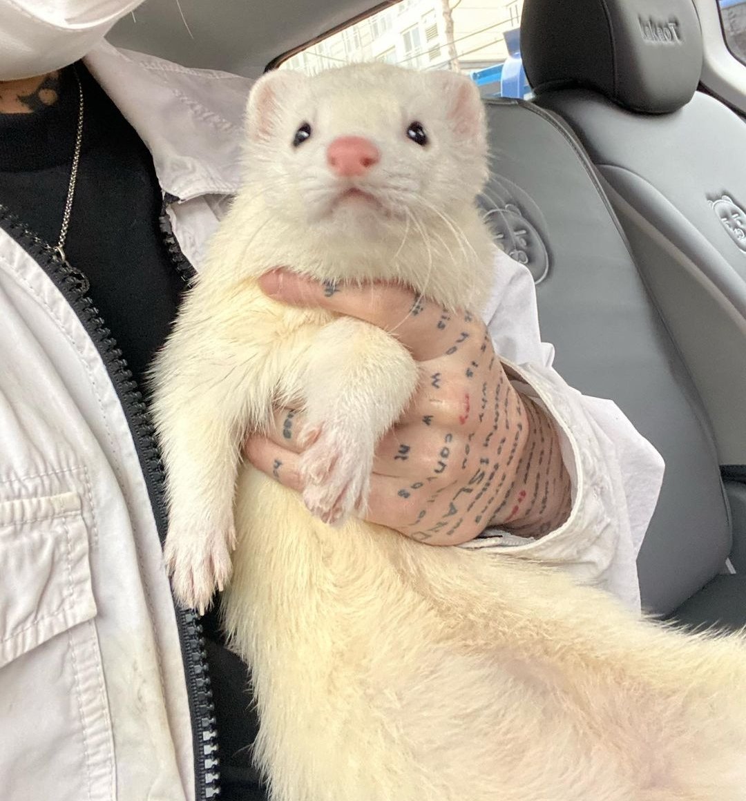 No more Hourly Ash island, now it's Hourly Huchu