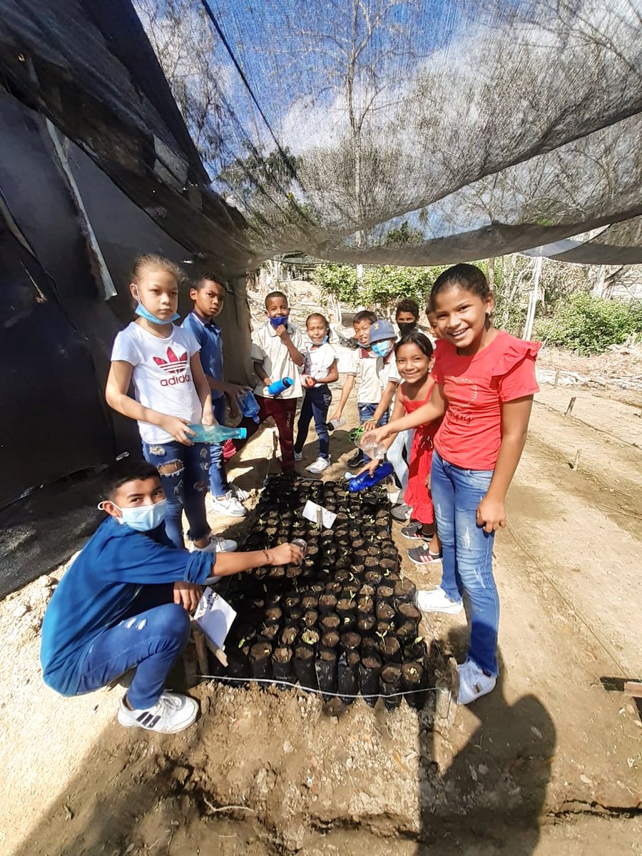 EnvolVertLatino's tweet image. Desde febrero de este año, 22 niños y niñas de la escuela de Aguas Vivas, en Piojó (Atlántico), participan cada semana en el proyecto de reforestación de su corregimiento. Gracias a estas actividades han aprendido a reconocer las especies del #BosqueSecoTropical😍🌱🌳
#EnvolVert