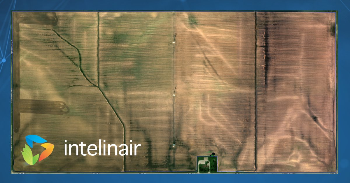We’re off, first Flight 2022 is underway. While customers focus on #Plant22 prep, we’re benchmarking fields and taking a first look. Our timely flights throughout the season provide early detection and confidence in decision making. There's still time to get in on the flights.