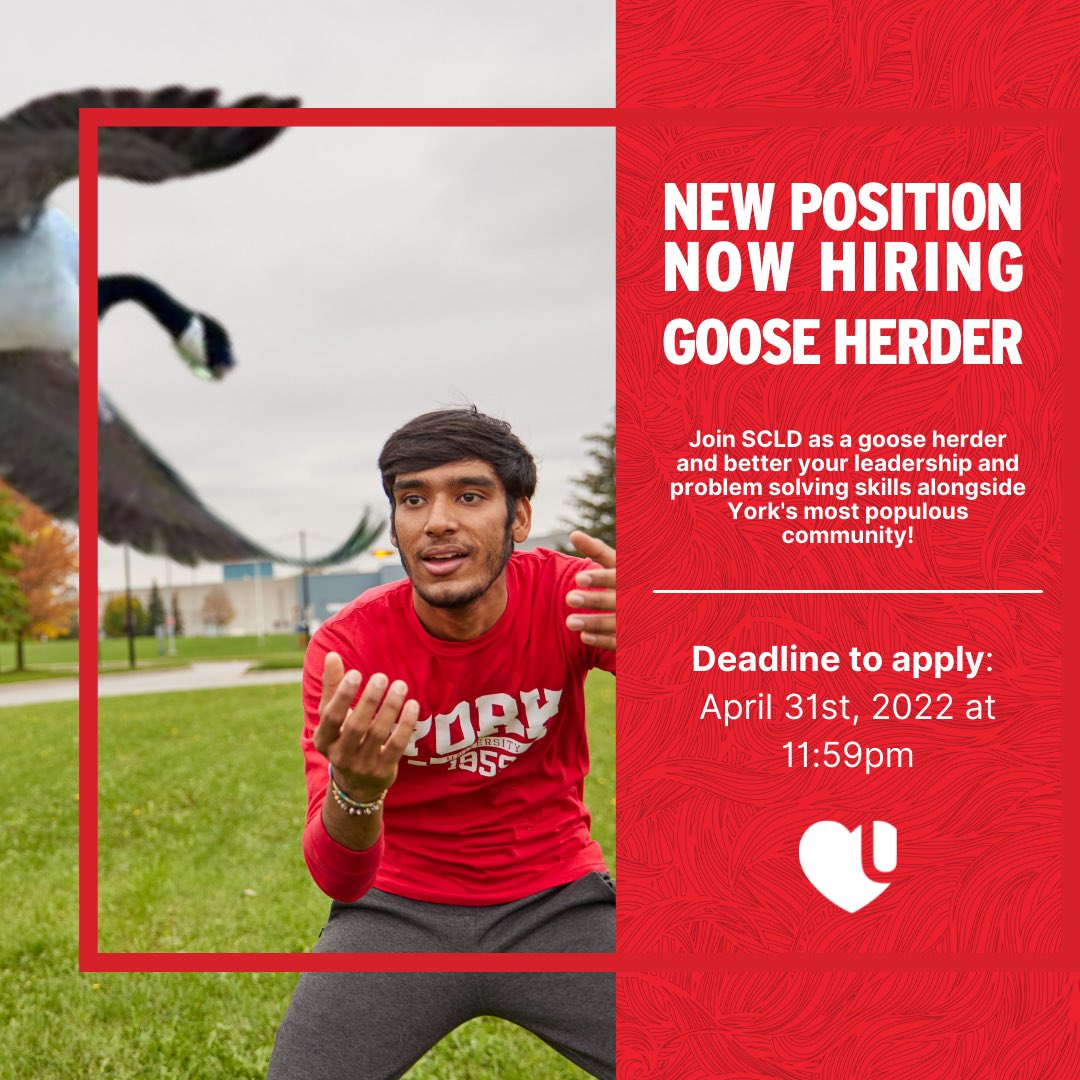 WE ARE HIRING! 🤩

Apply to be a #YorkU Goose Herder🐦  
 
Must be well versed in conflict resolution, negotiation tactics and love the outdoors. Help create safe spaces and safe passage for your fellow students today! Deadline: April 31st, 2022 - youtu.be/dQw4w9WgXcQ