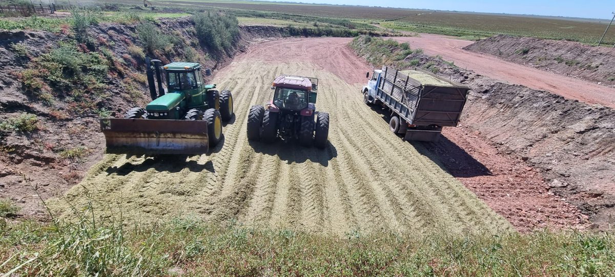 hectorolanocom1's tweet photo. Momento de guardar reservas EG - SORGO z21/22. #EG https://t.co/CUAgmsqWKT