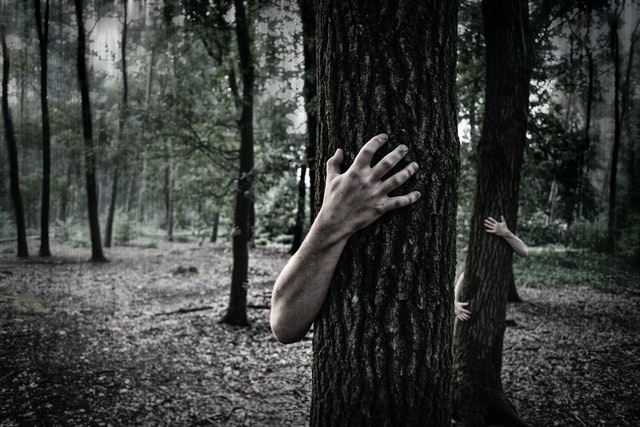 AuthorRadley's tweet photo. In the past #Pagans would touch trees so the wood spirits would protect them from evil. #FridayFolklore @swauthorsuk @womenwritersnet #writingcommunity #FascinatingFacts @PippaLongley @josielanewrites #ThingsIDidntKnow @DellaGalton #Welsh #Bards #Celtic #Druids #amwriting #mystic https://t.co/u972BlW6gS