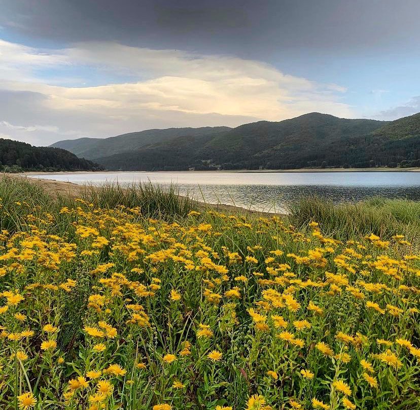 🌞 Se vi diciamo che non prende alcuna rete qui… Buon pomeriggio dal lago Arvo nel Parco Nazionale della #Sila 🌲, dove il silenzio fa rumore… #Viaggi in #Calabria tra montagna e mare 🥰 a #SudItalia. 

🌎 <a href="/ProntoEstate/">Pronto Estate - Calabria</a> Guida Turistica 
🇮🇹 prontoestate.it (Sito &amp; Blog)