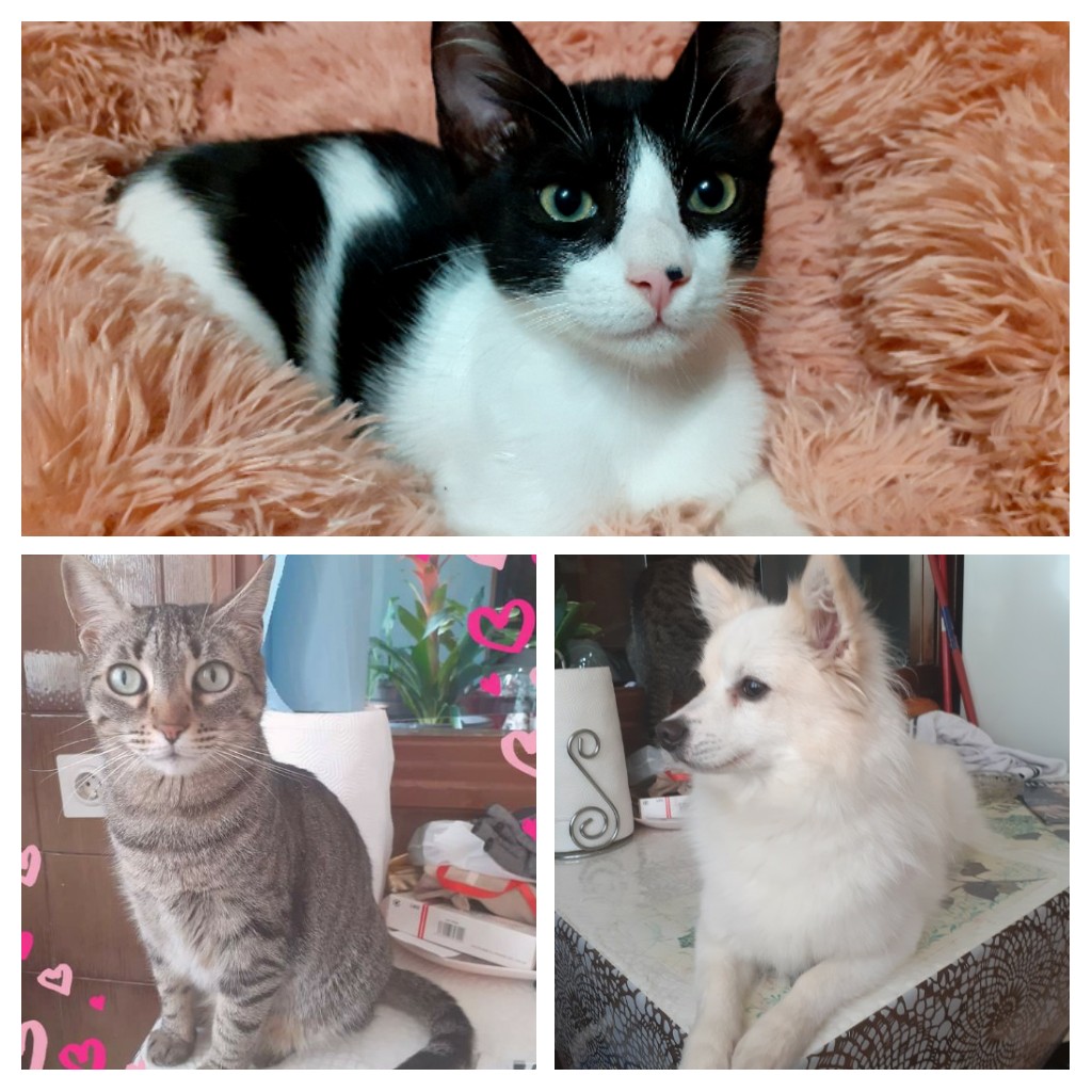 Marian Gil-Jaurrieta tweet media