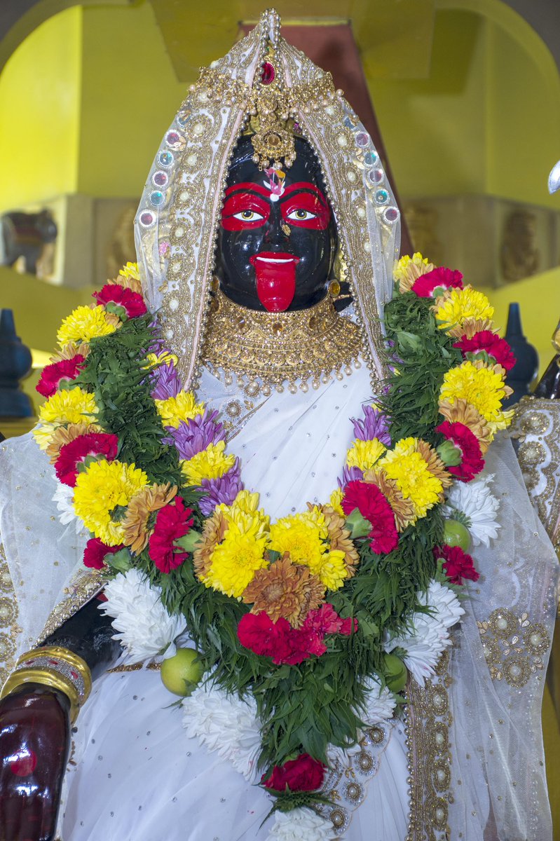 KaliYatraFest's tweet photo. HAPPY CHAITRA NAVRAATRI 2022!
🌹🔱 JAI MAA KALI 🔱🌹
Image ©2021 Kali Yatra Festival TT
#KaliYatraFestival #KYFTT #MahaKali https://t.co/E5sTwmKLHT
