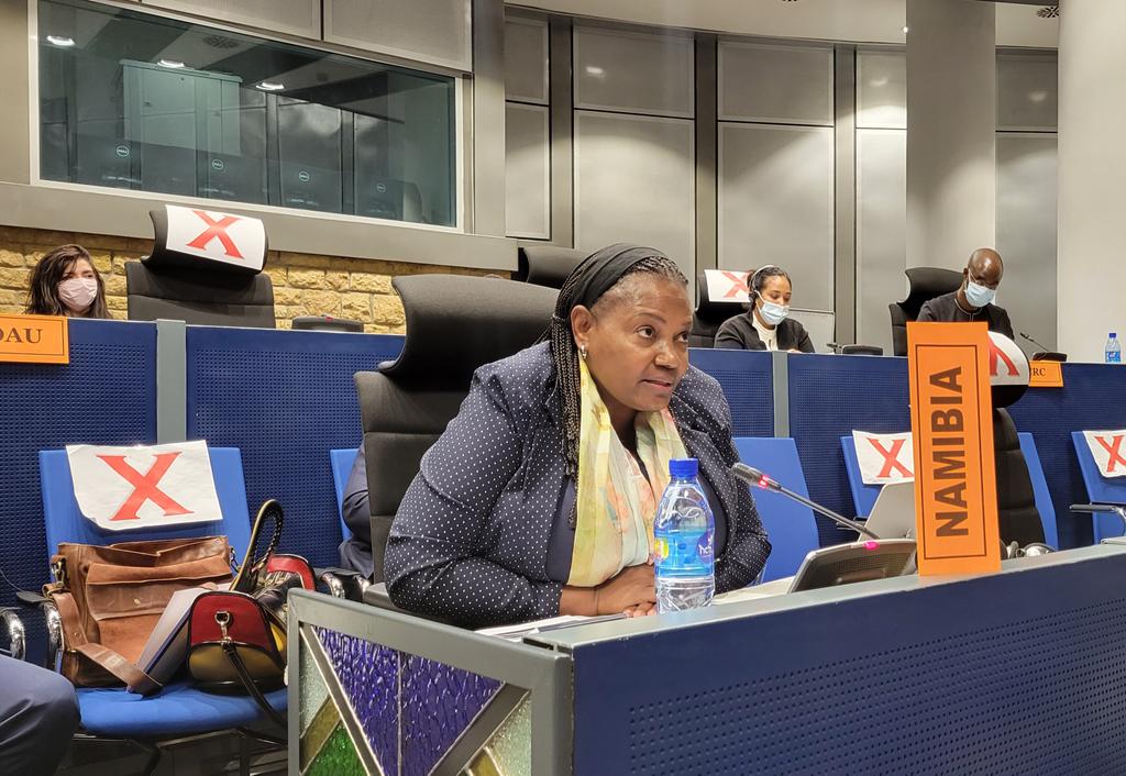 AUC_PAPS's tweet photo. #AUPSC expresses appreciation to partners for their continued support to the effective implementation of the #OttawaTreaty, while expressing concern over the continued production, use and illicit  transfers of #landmines and improvised #explosivedevices. https://t.co/6a7du3IEBV