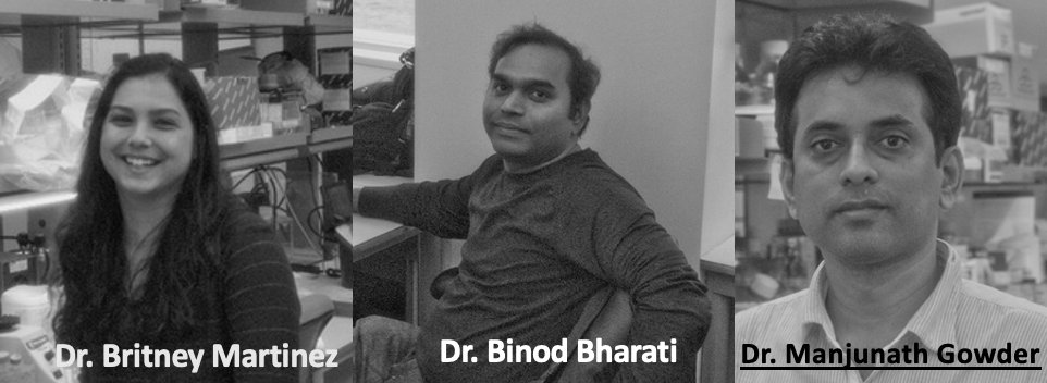 Nudler_lab_news's tweet photo. We are excited to share our dual publications regarding Global Genomic Repair (GGR) and Transcription-Coupled Repair (TCR) in @Nature and @NatureComms, each will be highlighted here! This work was led by our recent graduate @britm_ and two talented postdocs Binod and Manjunath! https://t.co/RnCXfqagl6