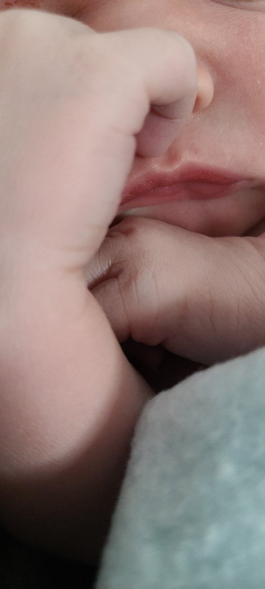 Animator James tweet media