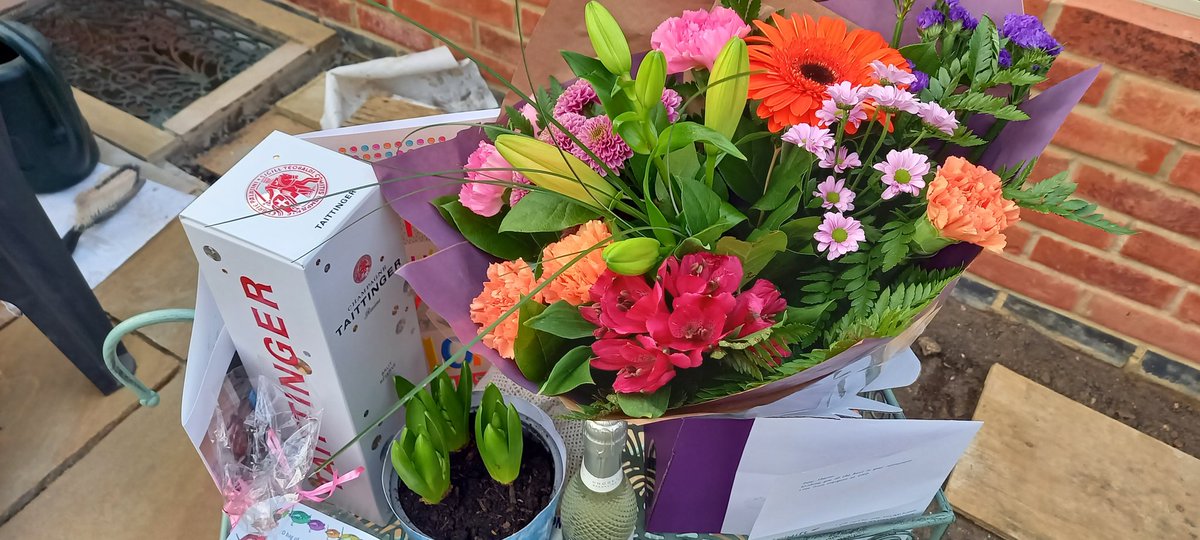 Sharon McAndrew tweet media