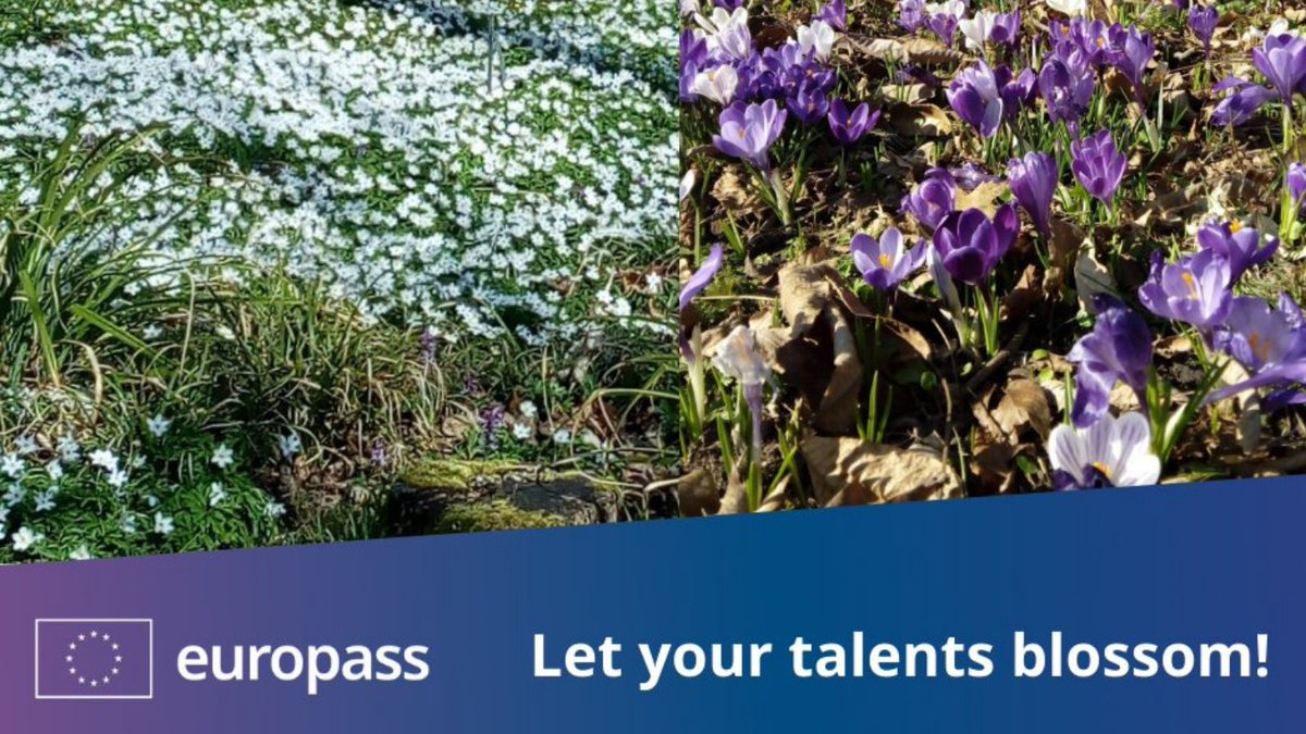 EuropassEurope's tweet photo. Let your talents blossom! 🌷 #Europass helps you become aware of your competences, develop them and highlight them in your application. 

#Europass #ApplyingWithEuropass #CV #resume #application #competences #TGIF https://t.co/FAwADbrMaY
