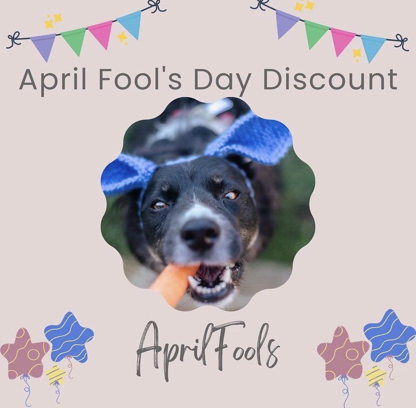 hollyandyouu's tweet photo. We are having a sale!! Use code AprilFools to save - valid for all products on the website. Ends 8/4/22
https://t.co/4HpTk8u0GJ 

#SmallBusiness #DogAccessories #Dogs https://t.co/UY57DFbOA2