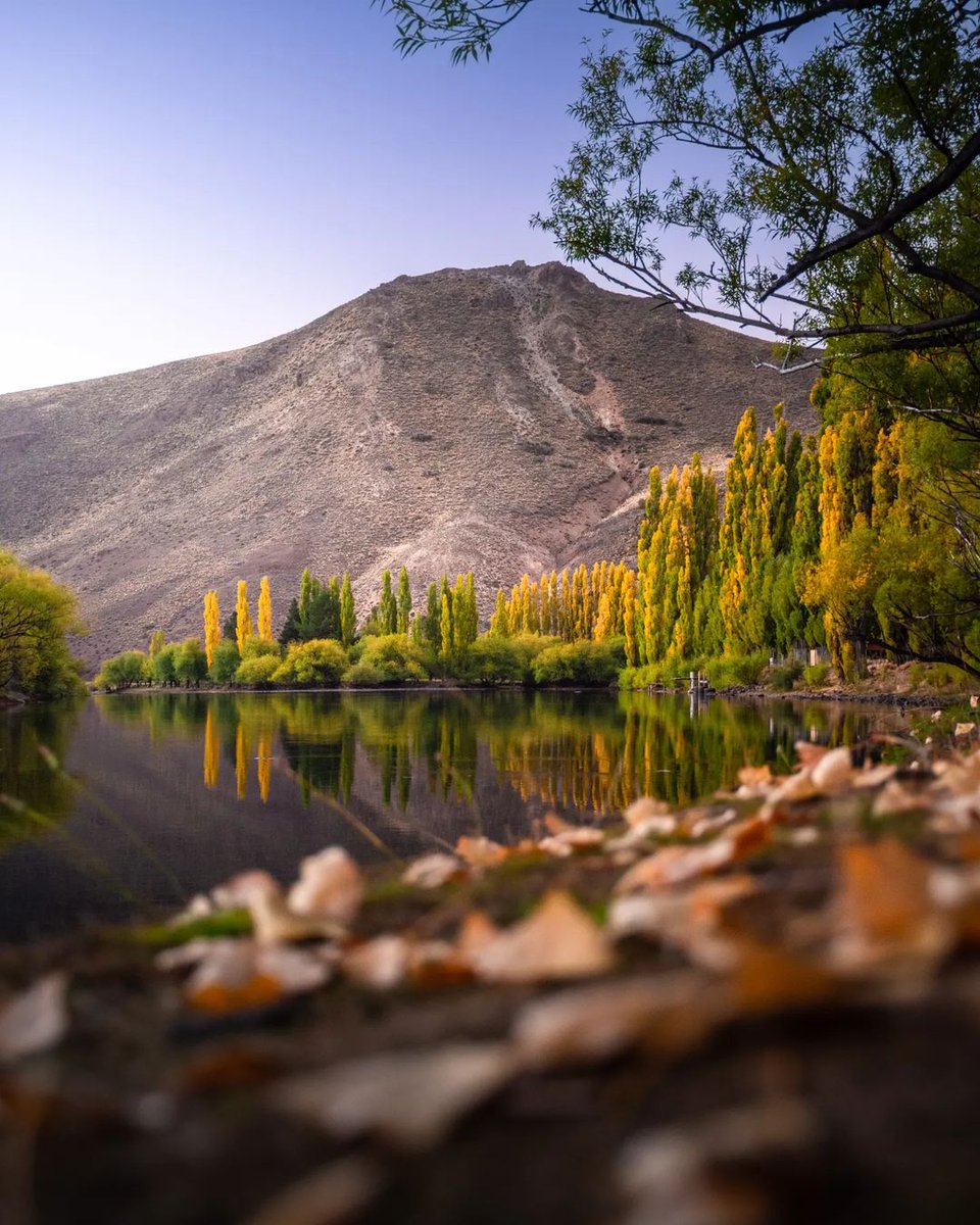 Ruta237Imagenes's tweet photo. Explota el Otoño 2022 en las costas de Llanquin!.🌄
📌Villa Llanquin - Río Negro📌
.
.
.
.
#landscape #arg_salvaje #surargentino
#provincia #montaña #travelarg
#lugar #rionegro #argentina
#visitargentina #naturaleza
#patagoniaargentina #atardecer
#Repost @_nelson_salazar
—— https://t.co/oy0iUgicmO