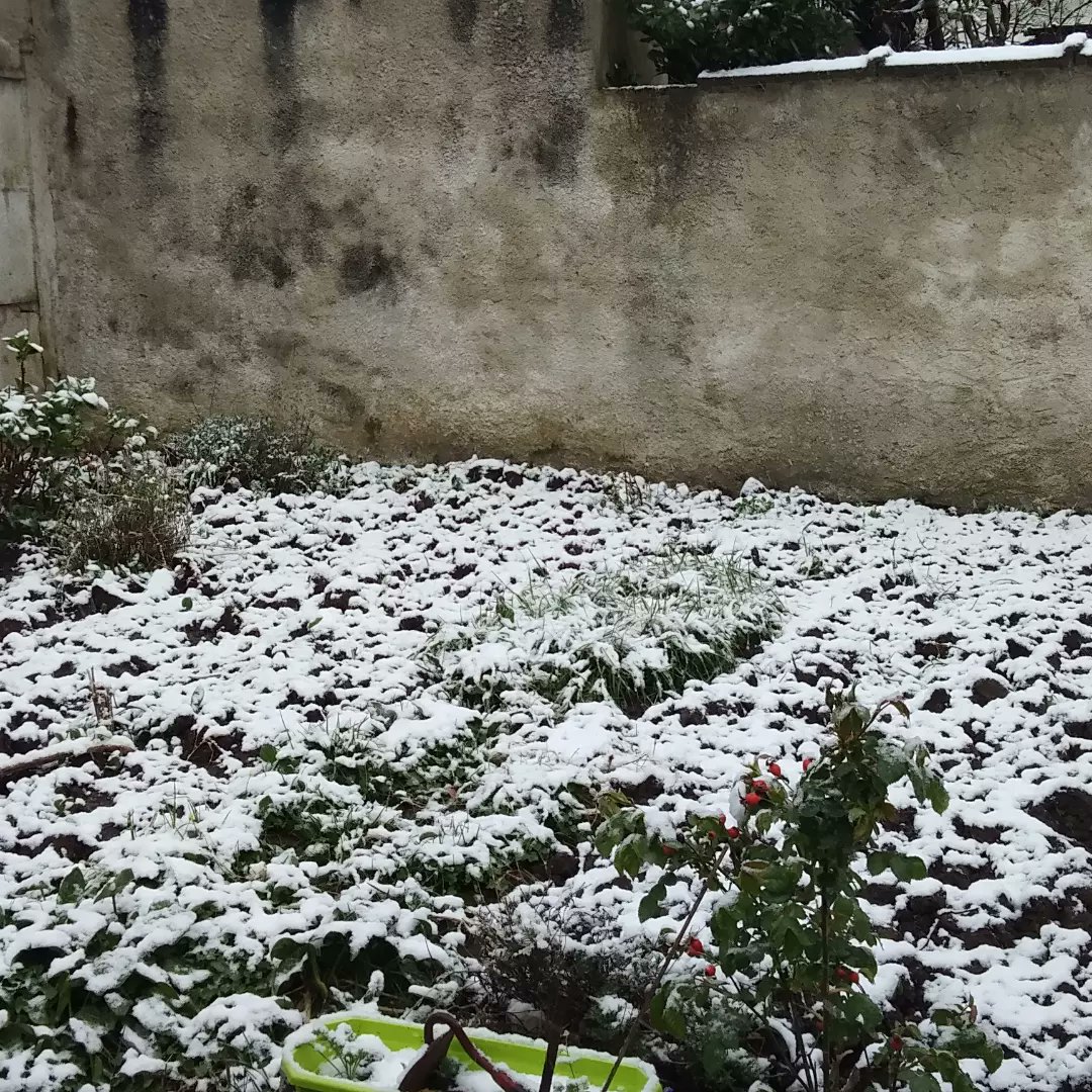 Il neige dans le nord de la France aujourd'hui. Ce n'est pas un poisson d'avril !