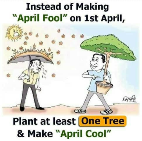 bakora_moses's tweet photo. Replace #AprilFoolsDay with #AprilCoolDay!
Just plant a #tree https://t.co/DilxbPxEeP