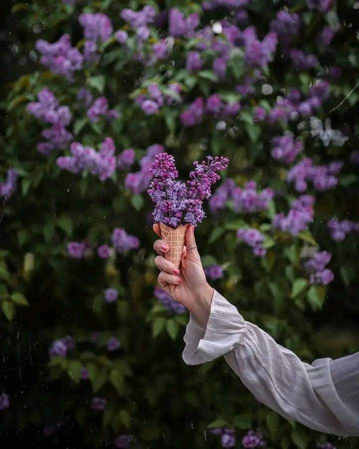 مع بـــــــــــدايات الصباح . 

اللهم أسعد هذه الانفس الطيبة •• 
وأكتب لهم الحياة السعيدة، ولا تجعل للضيق 
مكان فى حياتهم وبشرهم بتحقيق أمنياتهم

 #صباح_الخير☕
#جمعة_مباركة_طيبة 💜💜💜