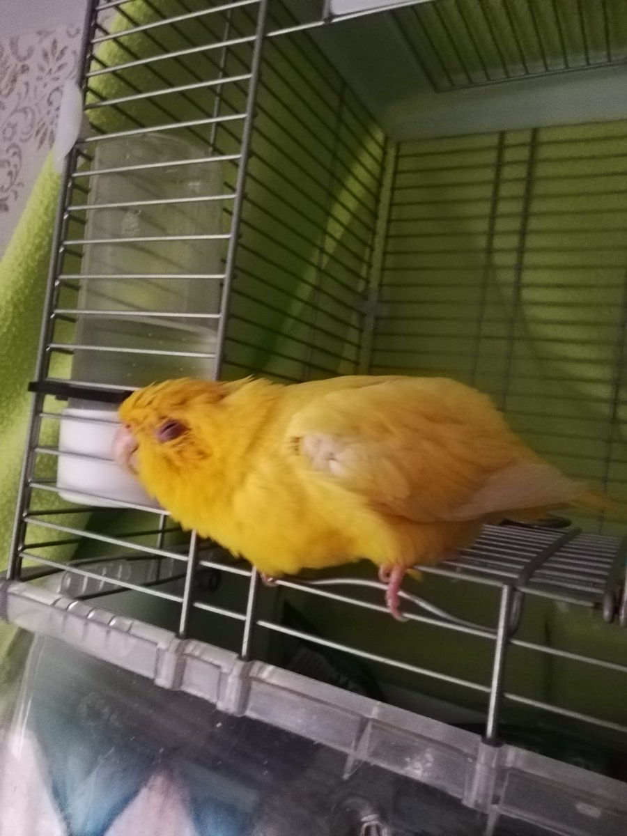 Alberto.M.G tweet media