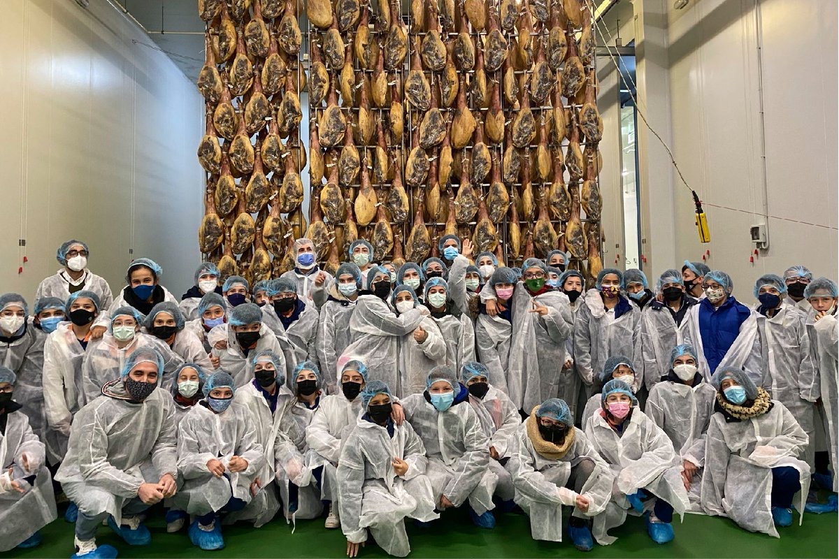 El Fruto de los Valores tweet media