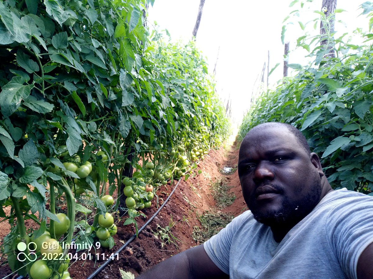 When burdens bury I always visit this here #myprayerspace and meet the God who made.#ZimAgricRising @PhiriDivah @georchand @GeorgeCharamba2 @basera_john @munya_chichevo @veeMurinye @CelinaHatidani @zanupf_patriot