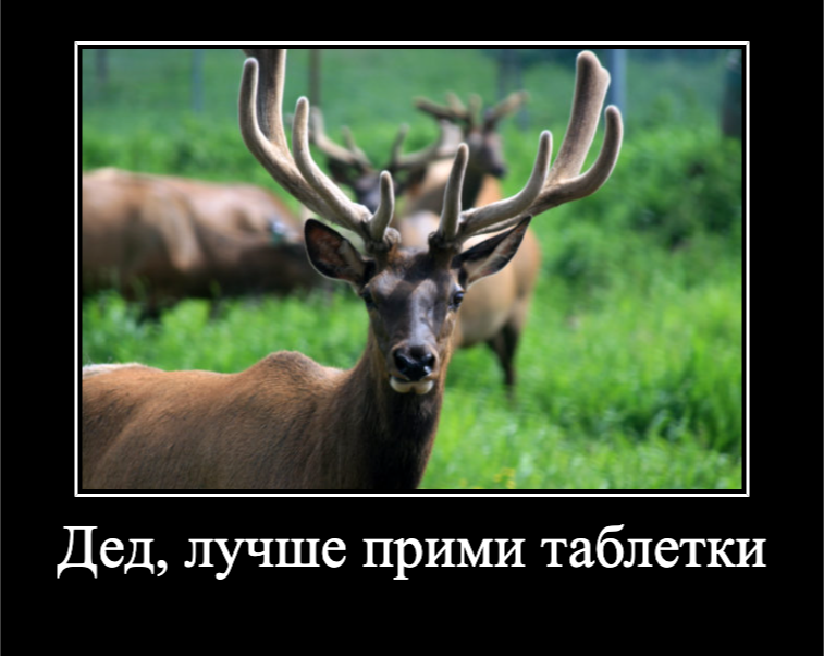 leonidvolkov's tweet photo. (Извините) https://t.co/Lr00Z90hp4