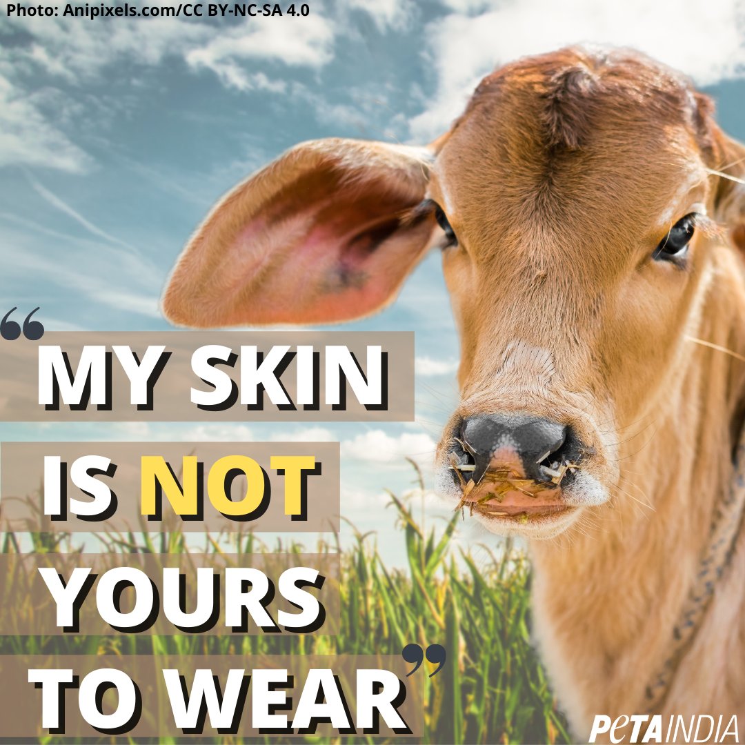 PetaIndia's tweet photo. The only skin you should wear is your own. #BeLeatherFree #NotOursToWear https://t.co/s5Hzsos5Vt