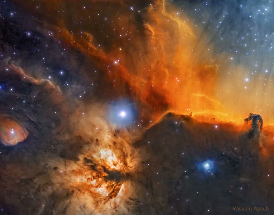 observedcosmos's tweet photo. The Horsehead and Flame Nebulas
-
📷: Wissam Ayoub https://t.co/HnYsbPNL7t