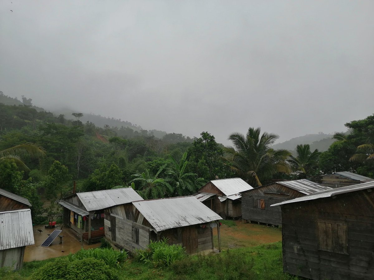 Rainy days in our site since tuesday. Fortunately, our team came back safe from Ankovana, facing rising level of the river.