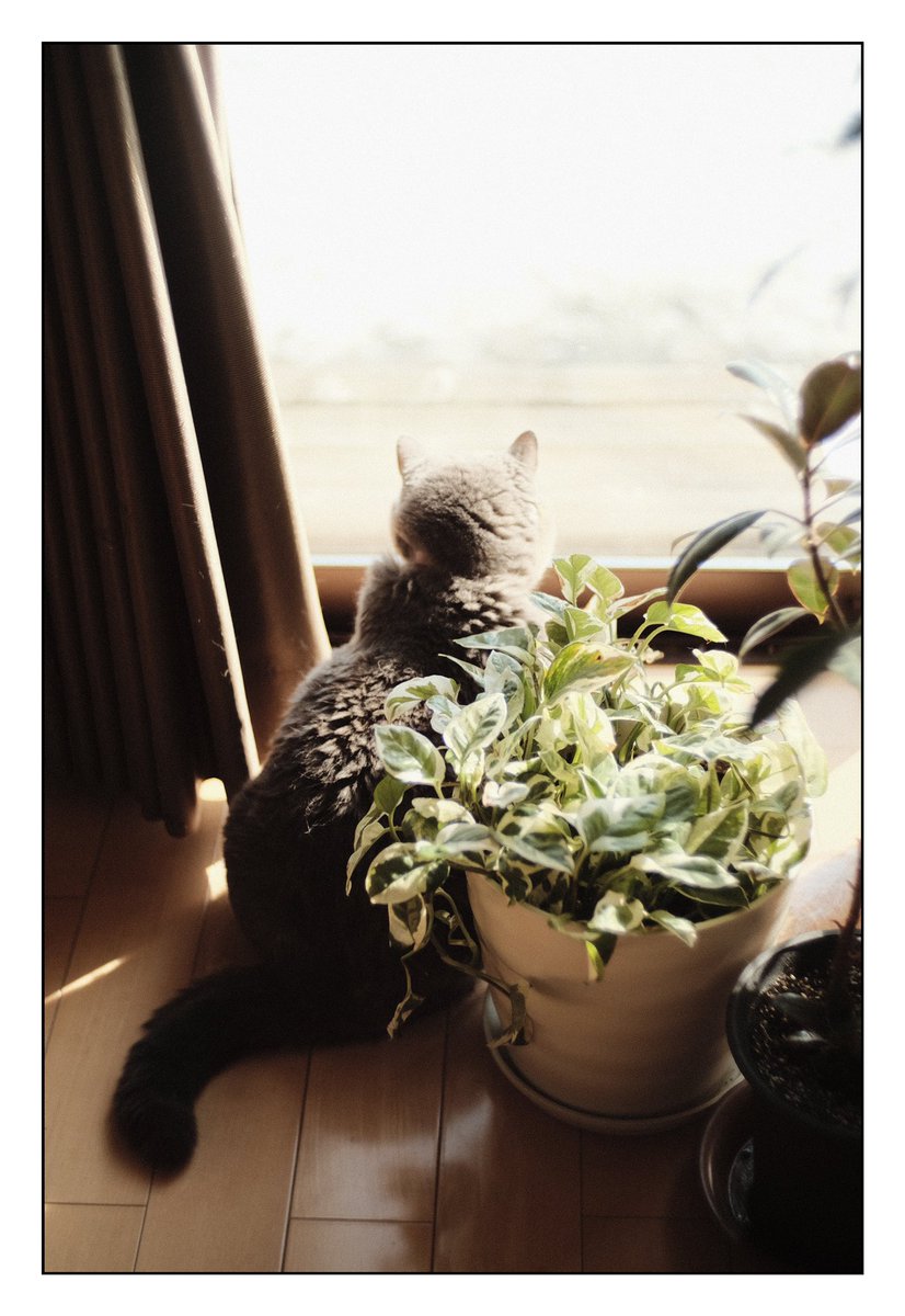 RubbyNess's tweet photo. Fujicolor Negative. 

@Taksh_shikari 
#XE3
#Voigtlander https://t.co/Ce42fAoSfY