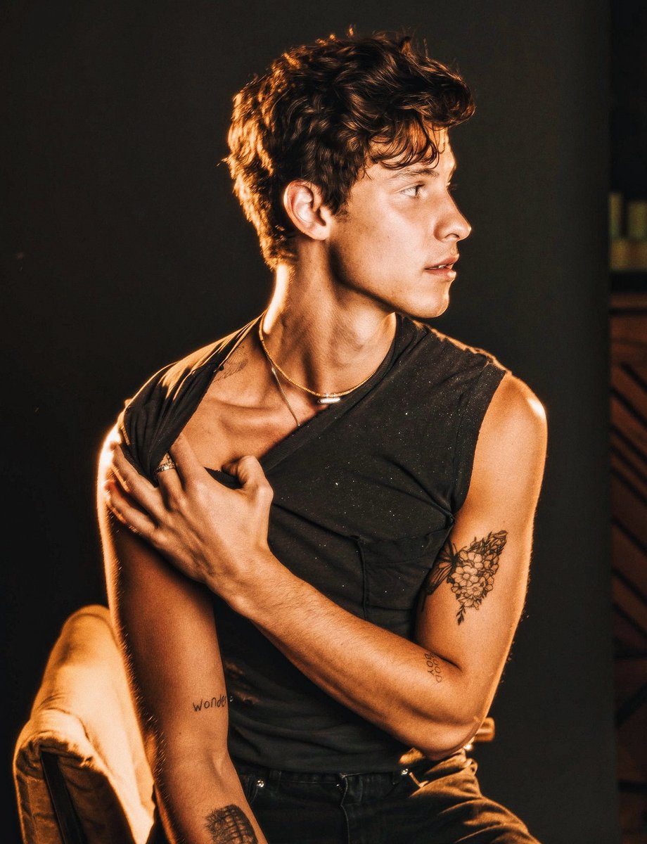 shawn mendes.
