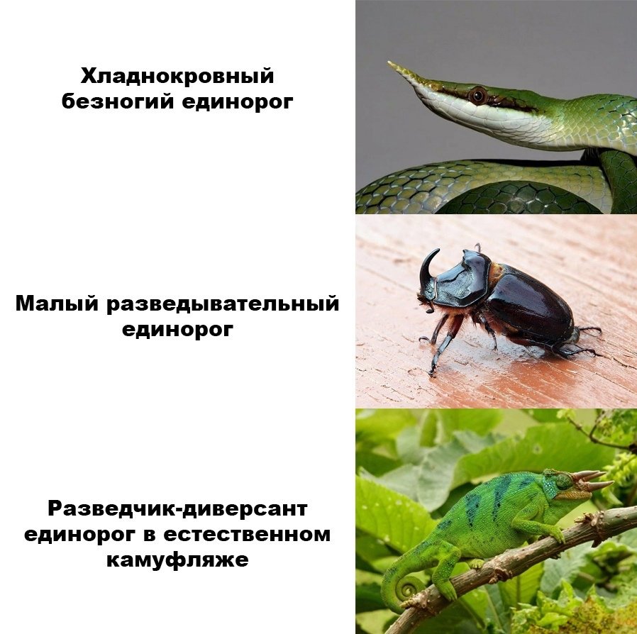BerkNina's tweet photo. Если вы мало знали о единорогах, то вот
Не благодарите https://t.co/vErFG73PZH