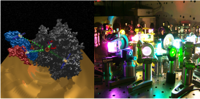 michaelis_jens's tweet photo. Application period for Biophysics Master @UlmUniversity has started. Apply now to enter an international and interdisciplinary study program with state of the art lab courses and loads of hands on experience, infos at https://t.co/2qdZhYC86H https://t.co/K6FYxfkynJ