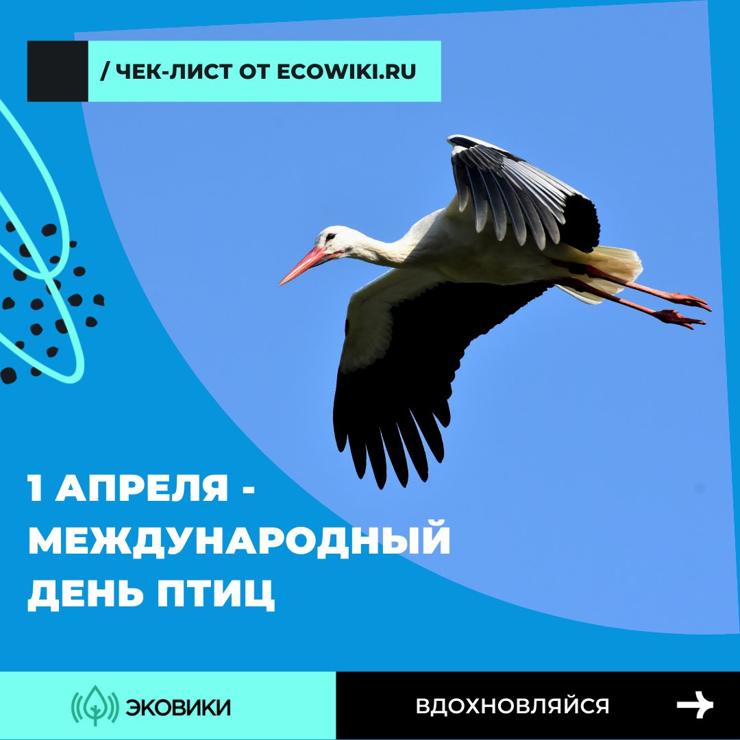 1 апреля —  Всемирный день птиц

Как отметить Международный день птиц: чек-лист от Ecowiki.ru

Ecowiki.ru приглашает россиян вместе отметить Международный день птиц – экологический праздник, который ежегодно проходит 1 апреля… t2p.pw/VUuxgVzk3n