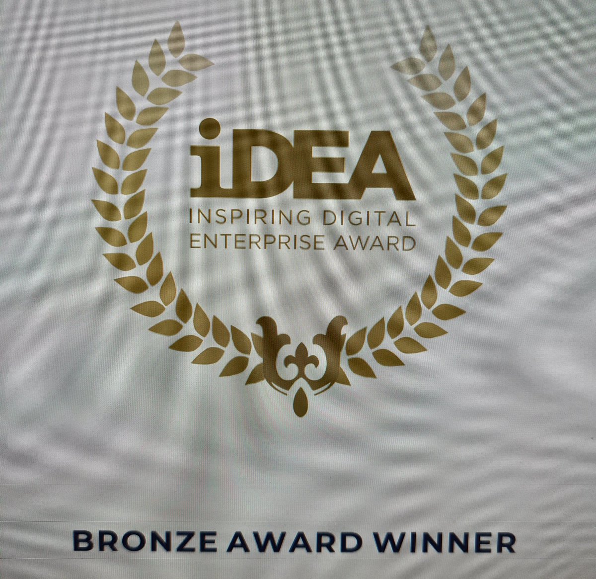 Congratulations to Carson Clark, Maja Rakowska, Aqib Rauf, Paul Jack, Louie Hamill, Nieve Steele, Freya Kirk, Zara Maroof and Nial McColgan on achieving the Bronze iDEA award.