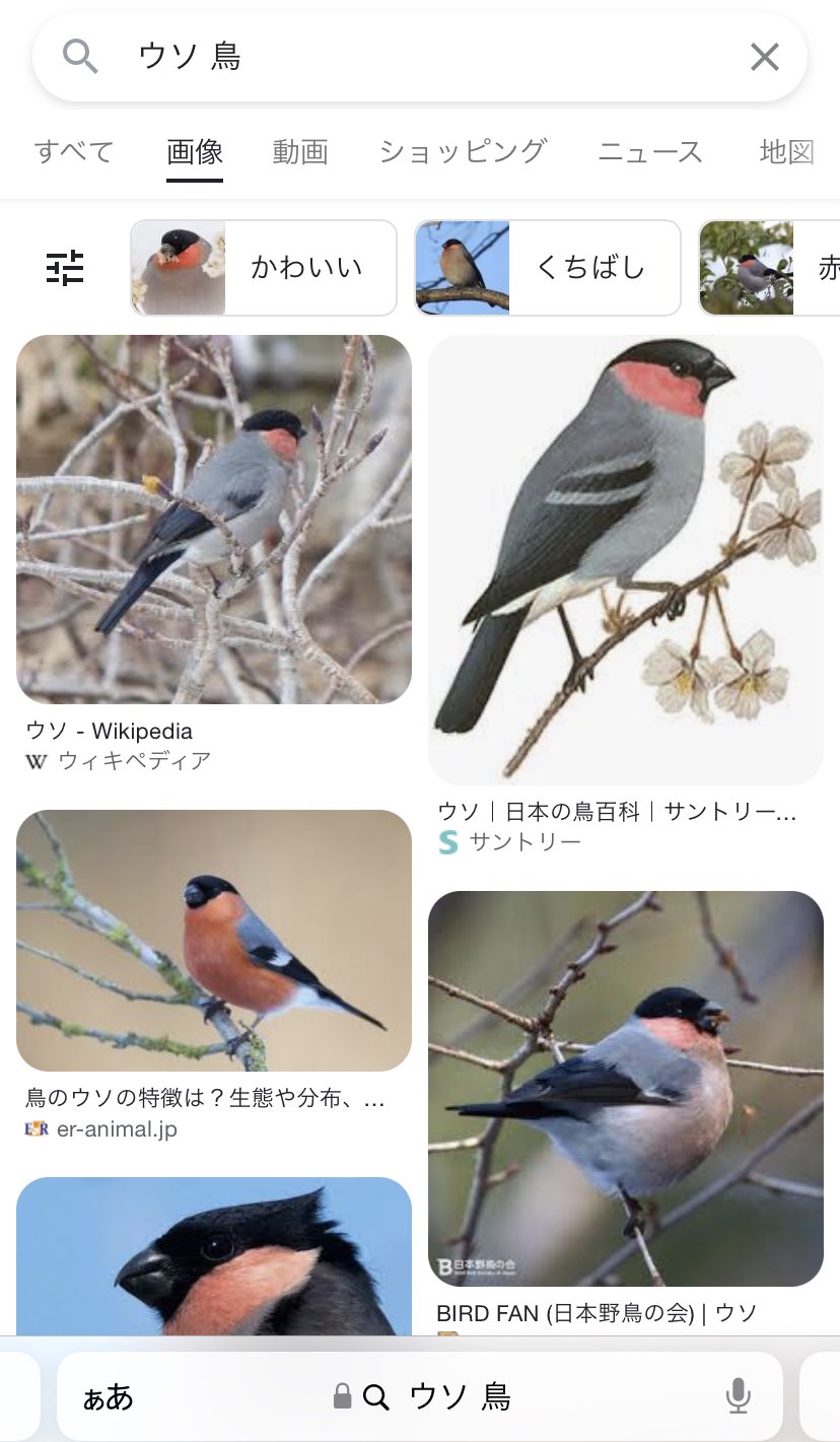 Syudou ウソ T Co 6lsn6z0byz Twitter